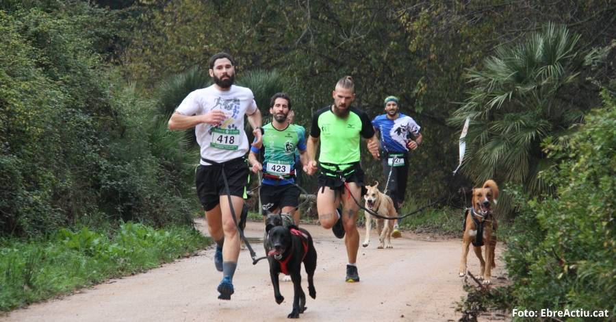 10 anys de la Cursa i Caminada de Masdenverge | EbreActiu.cat, revista digital d’oci actiu | Terres de l’Ebre ...