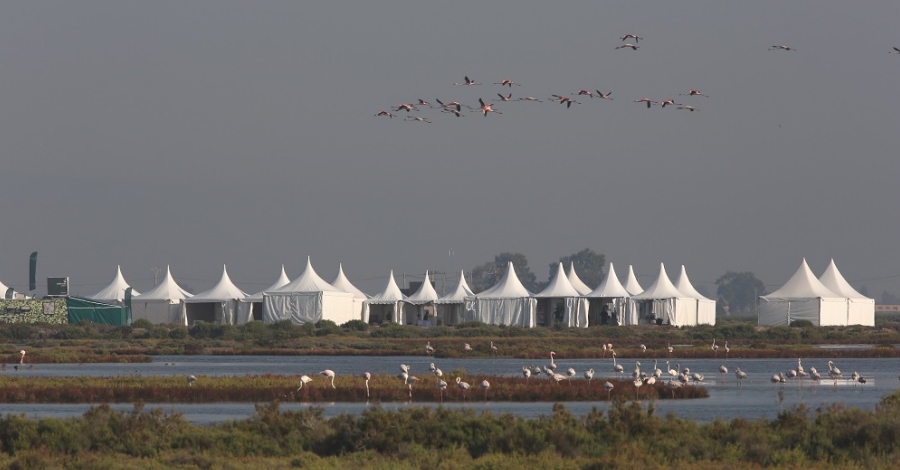 El Delta Birding Festival omple el delta de l’Ebre d’ornitlegs i aficionats a la natura | EbreActiu.cat, revista digital d’oci actiu | Terres de l’Ebre ...