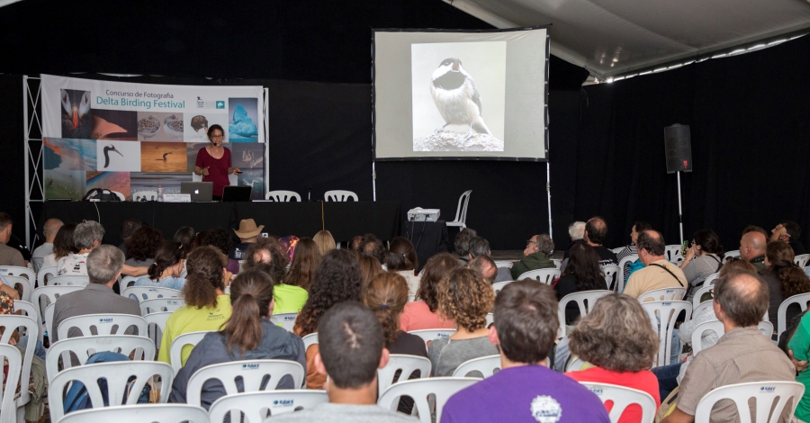 El Delta Birding Festival omple el delta de l’Ebre d’ornitlegs i aficionats a la natura | EbreActiu.cat, revista digital d’oci actiu | Terres de l’Ebre ...