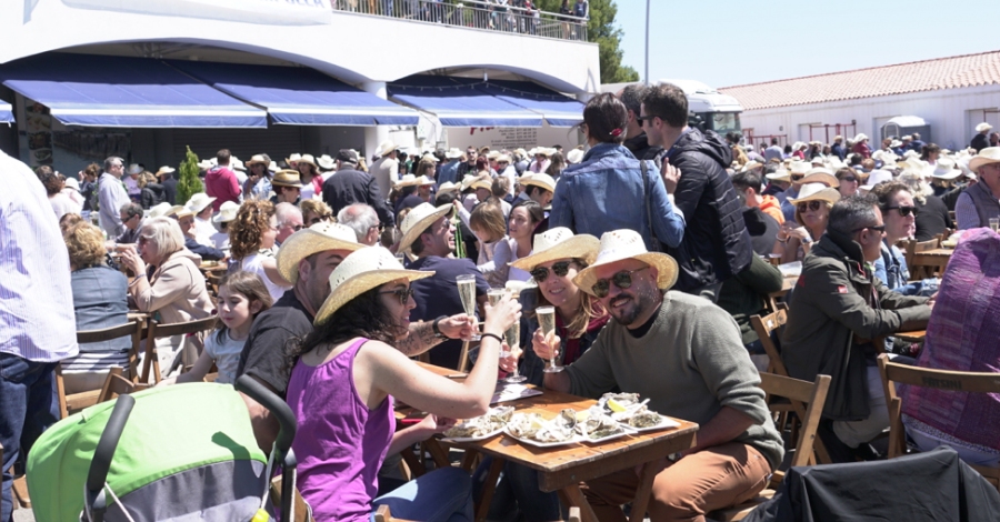 Ms de 4.000 personas participan en la Ampolla en la XXIX Diada de l’Ostra del Delta | EbreActiu.cat, revista digital de ocio activo | Terres de l’Ebre...