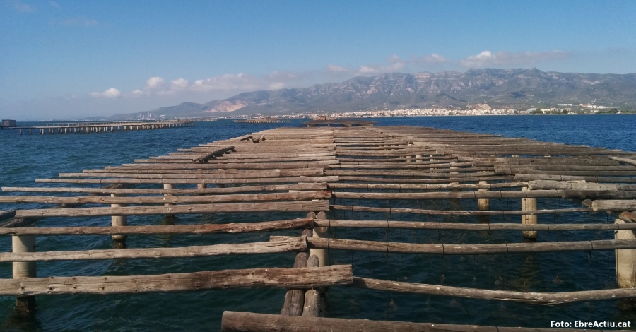 Presentaci dels resultats de l’estudi cientfic sobre les badies del Delta de l’Ebre i el seu entorn | EbreActiu.cat, revista digital d’oci actiu | Terres de l’Ebre ...