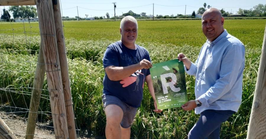 La Rpita incidir en la tradici i els valors mediambientals en la segona Festa de la Sega de l’Arrs | EbreActiu.cat, revista digital d’oci actiu | Terres de l’Ebre ...