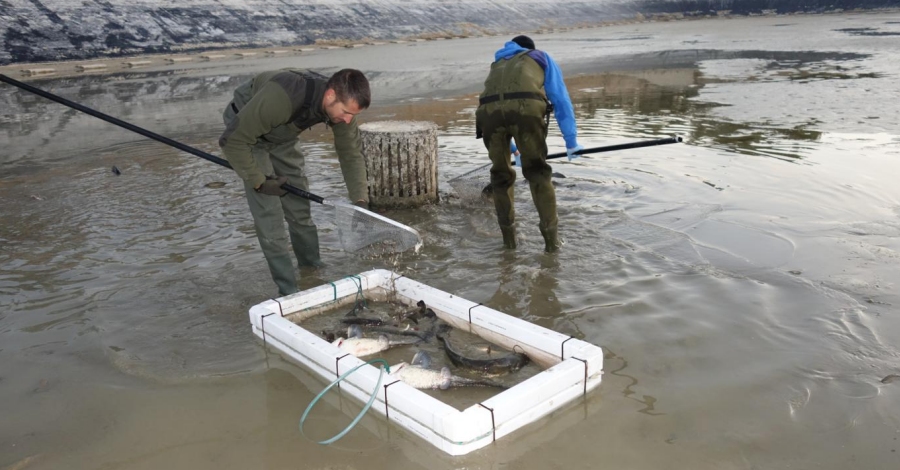 Respecta, un projecte per a rescatar la fauna acutica autctona en sistemes de reg | EbreActiu.cat, revista digital d’oci actiu | Terres de l’Ebre ...