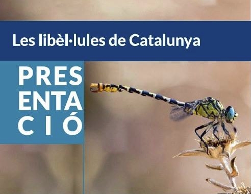 Presentaci de la publicaci Les libllules de Catalunya