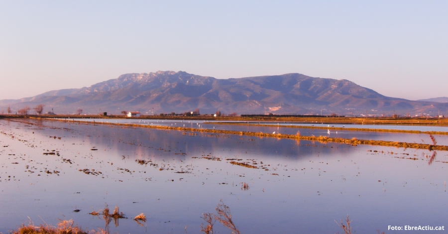 Es presenta l’Associaci d’Empreses i Activitats Turstiques del Delta de l’Ebre | EbreActiu.cat, revista digital d’oci actiu | Terres de l’Ebre ...