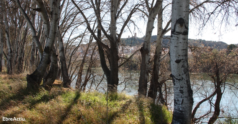 De Flix a Vinebre, el recorregut de la 7a Caminada Popular IDECE | EbreActiu.cat, revista digital d’oci actiu | Terres de l’Ebre ...