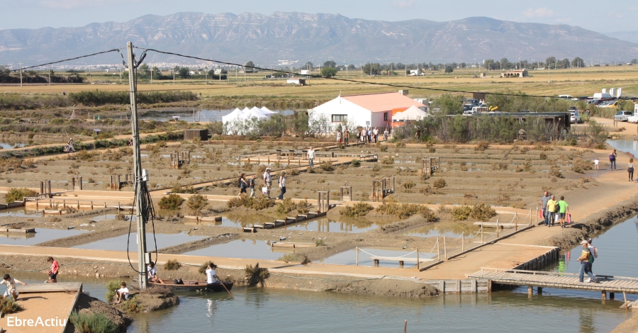 Delta Birding Festival, punt de trobada dels amants i estudiosos dels ocells | EbreActiu.cat, revista digital d’oci actiu | Terres de l’Ebre ...