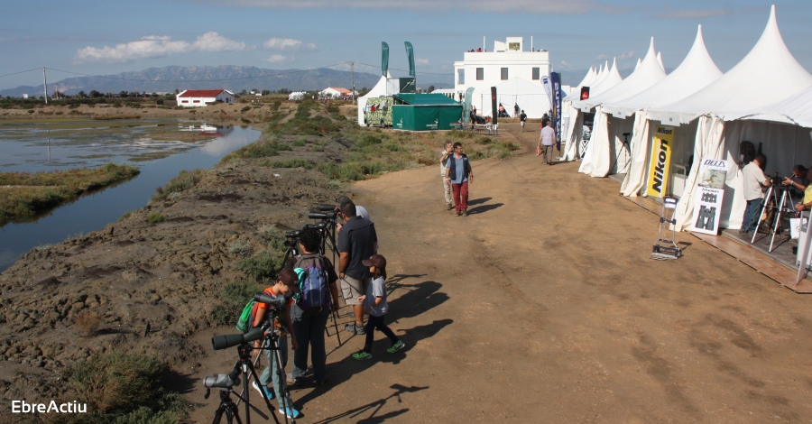 Delta Birding Festival, punt de trobada dels amants i estudiosos dels ocells | EbreActiu.cat, revista digital d’oci actiu | Terres de l’Ebre ...