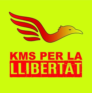 Kms per la Llibertat, una cursa de relleus per denunciar la situaci dels presos poltics | EbreActiu.cat, revista digital d’oci actiu | Terres de l’Ebre ...