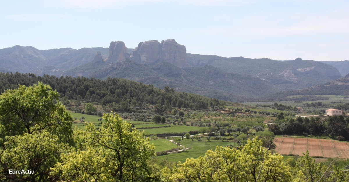 El sector turstic arrenca amb fora al Delta, a la Terra Alta i al Priorat | EbreActiu.cat, revista digital d’oci actiu | Terres de l’Ebre ...