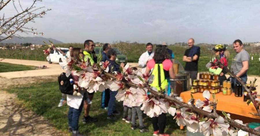 Primer cap de setmana de la campanya turstica de floraci a la Ribera d’Ebre | EbreActiu.cat, revista digital d’oci actiu | Terres de l’Ebre ...