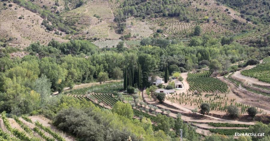 El Priorat acollir el Simposi internacional Paisatge, Agricultura i Dona els dies 9 i 10 de maig | EbreActiu.cat, revista digital d’oci actiu | Terres de l’Ebre ...