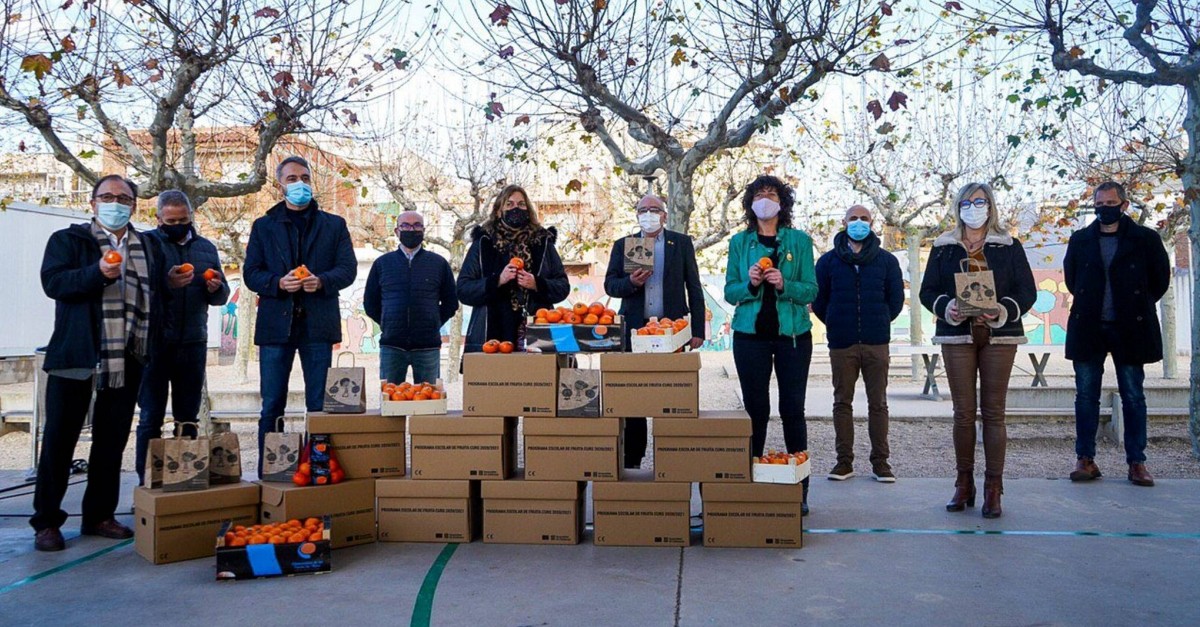 El Programa de fruita a les escoles lliura una bossa de clementines de les Terres de l’Ebre a les famlies dels infants que hi participen | EbreActiu.cat, revista digital d’oci actiu | Terres de l’Ebre ...