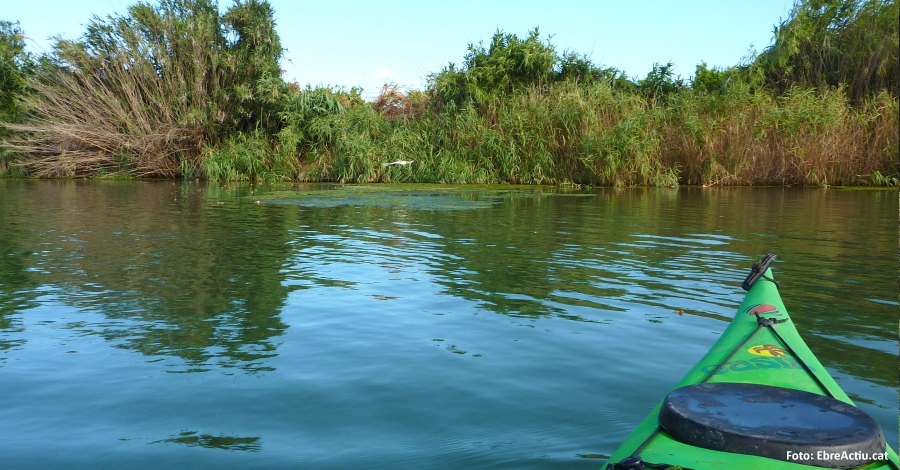 Els parcs naturals de les Terres de l’Ebre programen ms de 500 activitats educatives | EbreActiu.cat, revista digital d’oci actiu | Terres de l’Ebre ...