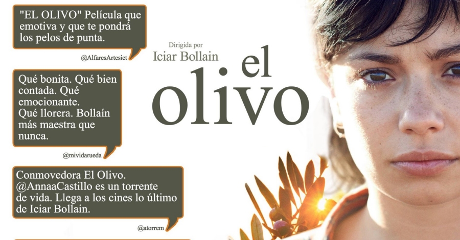 Projeccin de la pelcula "El Olivo" y debate con miembros de la plataforma Salvem lo Montsi