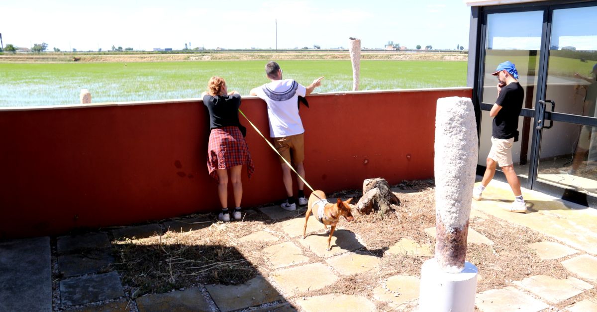 El projecte Garba mostra noves formes d’investigar i de crear art a partir de materials i reptes socials de l’Ebre | EbreActiu.cat, revista digital d’oci actiu | Terres de l’Ebre ...