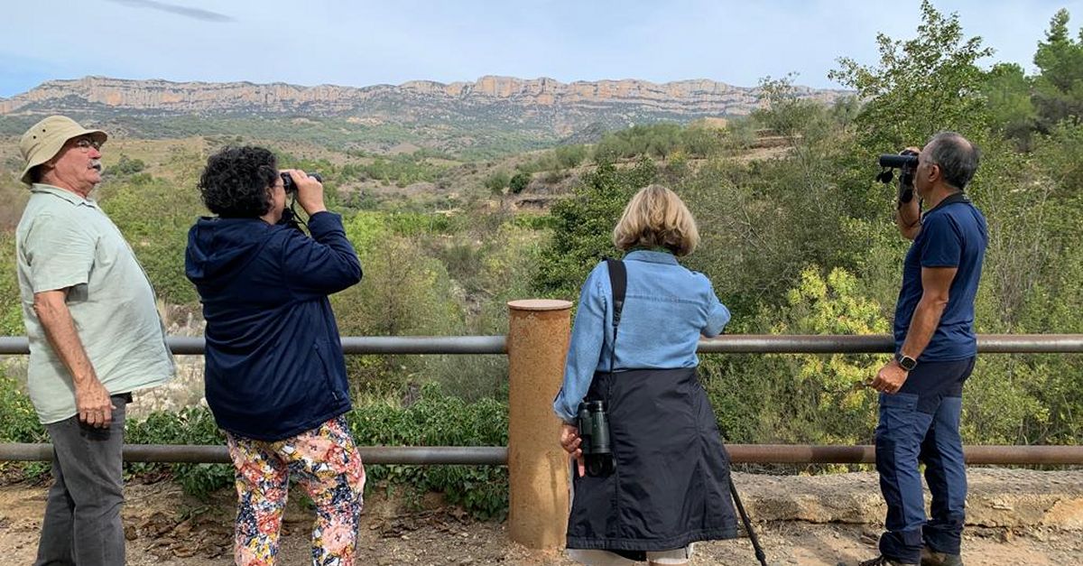 El Parc Natural de Montsant obre la convocatria de propostes d’activitats per a l’agenda de primavera | EbreActiu.cat, revista digital d’oci actiu | Terres de l’Ebre ...