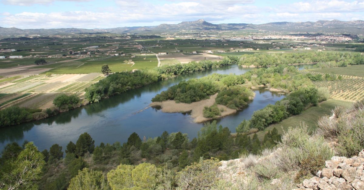 Signen un protocol de collaboraci per millorar ambientalment el riu Ebre entre Asc i Miravet | EbreActiu.cat, revista digital d’oci actiu | Terres de l’Ebre ...