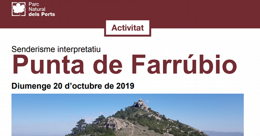 Fem treballar les cames per pujar a la punta de Farrbio