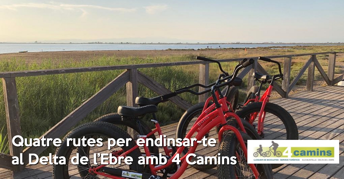 Quatre rutes per endinsar-te al Delta de lEbre amb 4 Camins