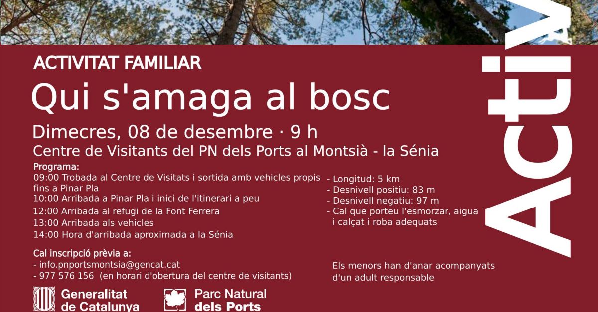 Activitat familiar: Qui s’amaga al bosc?