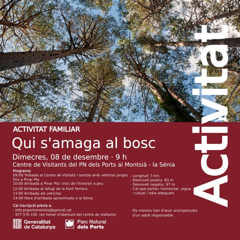 Activitat familiar: Qui s’amaga al bosc?