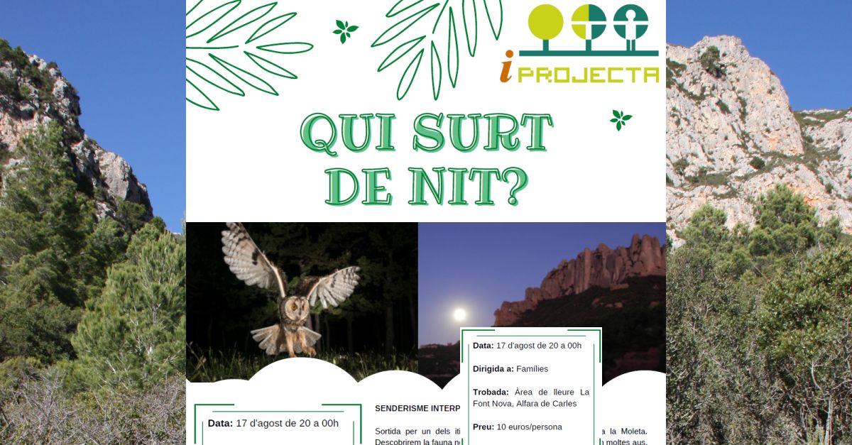 Activitat deducaci ambiental: Qui surt de nit? (senderisme interpretatiu)