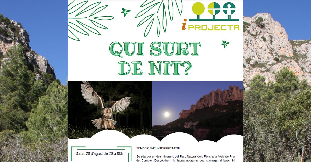 Activitat deducaci ambiental: Qui surt de nit? (senderisme interpretatiu)