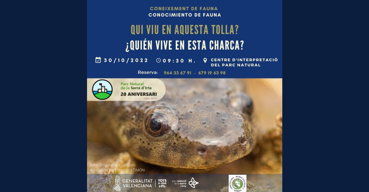 Coneixement de fauna: Qui viu en aquesta tolla?