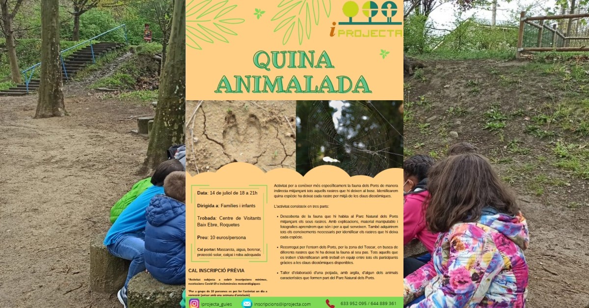 Actividad de educacin ambiental: Quina animalada