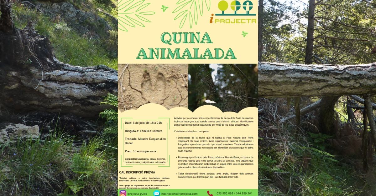 Actividad de educacin ambiental: Quina animalada