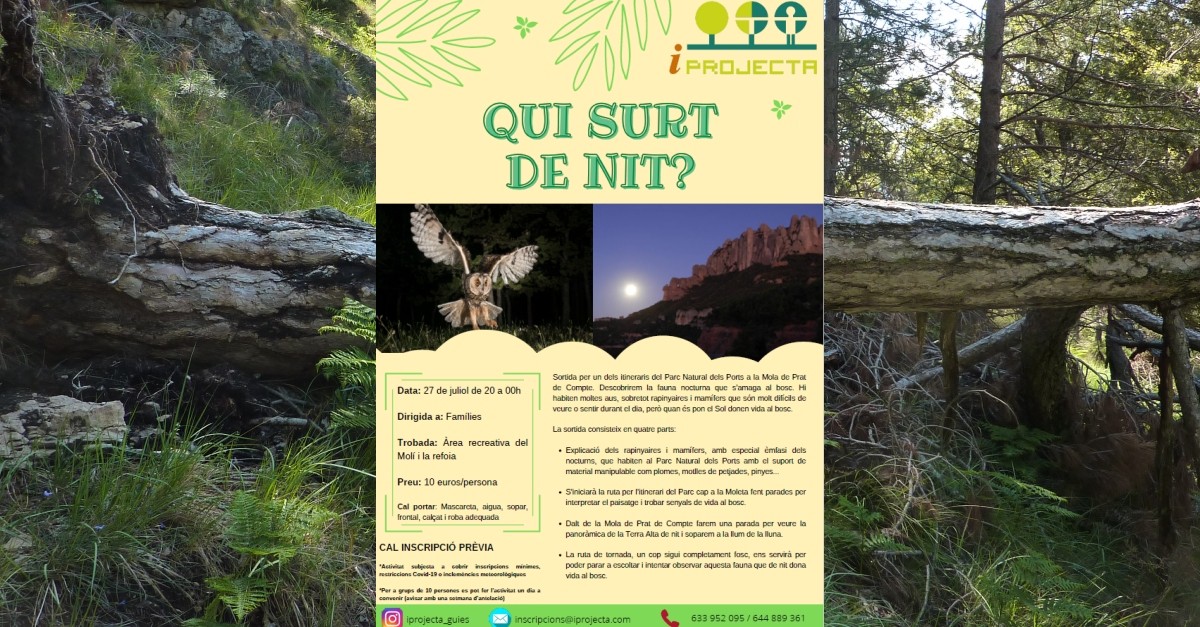 Actividad de educacin ambiental: Qui surt de nit?