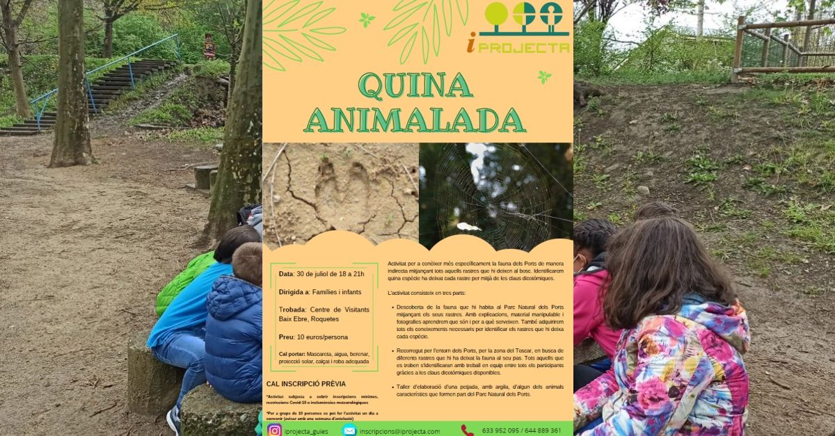 Activitat deducaci ambiental: Quina animalada