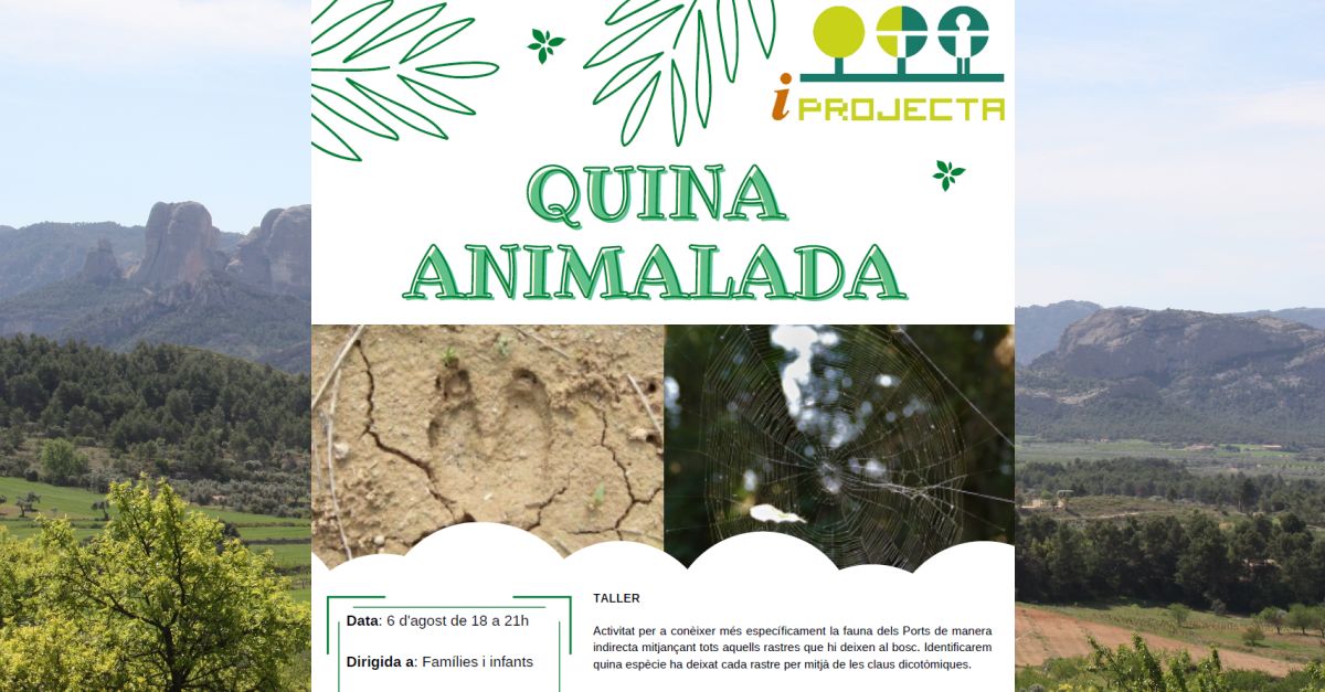 Activitat deducaci ambiental: Quina animalada (taller)