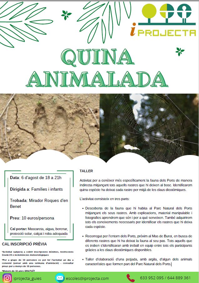 Activitat deducaci ambiental: Quina animalada (taller)