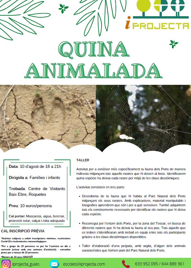 Activitat deducaci ambiental: Quina animalada (taller)