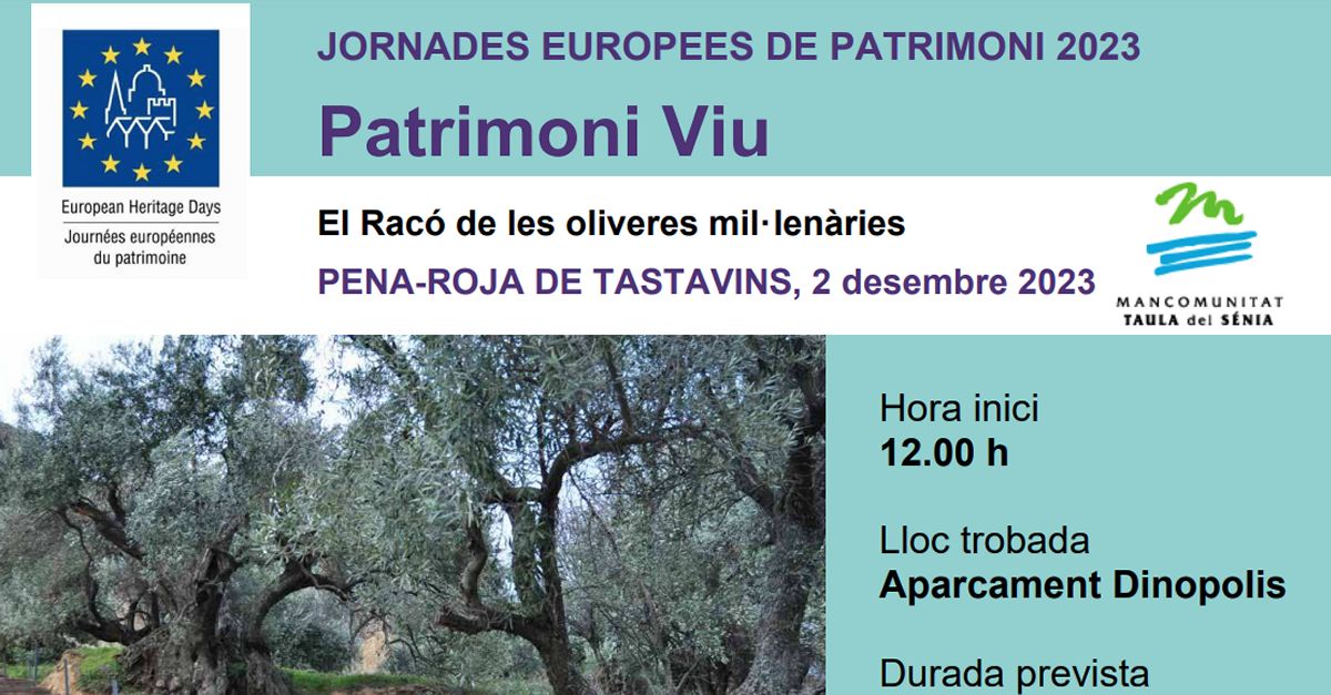 JEP2023 El Rac de les oliveres millenries