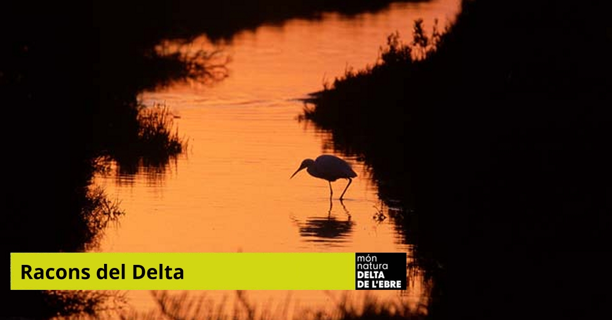 MonNatura Delta: Rincones del Delta