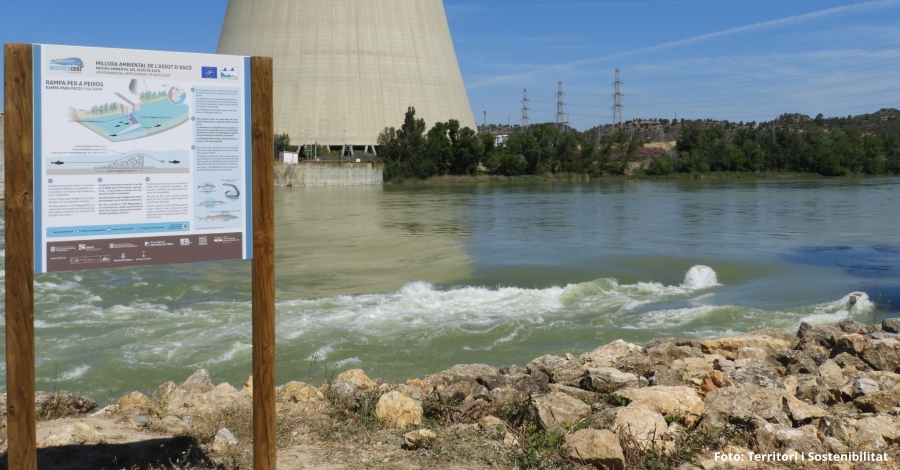 Construeixen la rampa per a peixos ms gran de Catalunya a Asc | EbreActiu.cat, revista digital d’oci actiu | Terres de l’Ebre ...