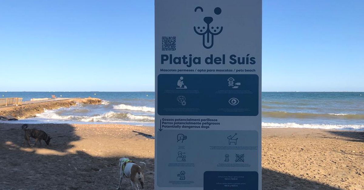 La Rpita habilita una platja de gossos aquest estiu | EbreActiu.cat, revista digital d’oci actiu | Terres de l’Ebre ...