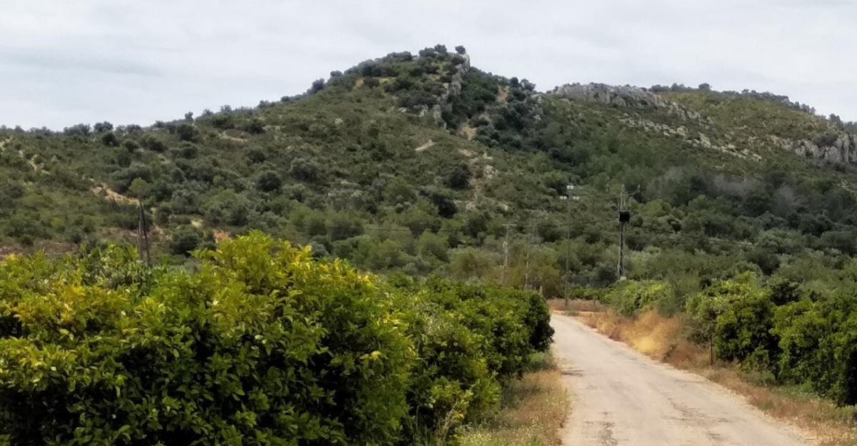 L’Ajuntament d’Amposta i la URV collaboren en la recerca arqueolgica del jaciment de l’Antic | EbreActiu.cat, revista digital d’oci actiu | Terres de l’Ebre ...