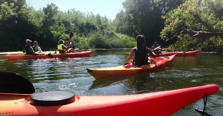 Ebreviu, gaudir amb caiac del riu Ebre