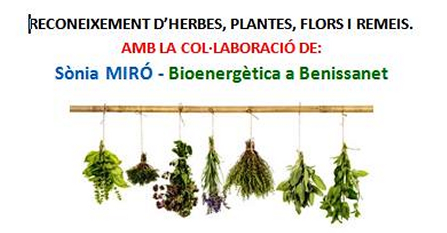 Reconeixement dherbes, plantes, flors i remeis