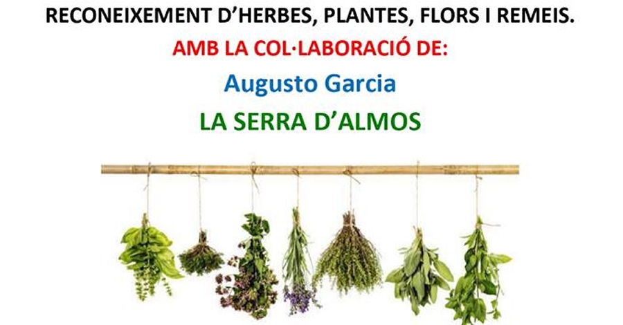 Reconeixement dherbes, plantes, flors i remeis a la Serra d’Almos