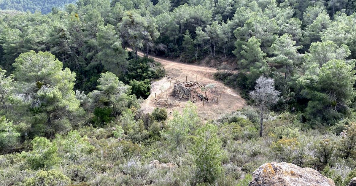 Riba-roja d’Ebre recupera un nou forn d’oli de ginebre | EbreActiu.cat, revista digital d’oci actiu | Terres de l’Ebre ...