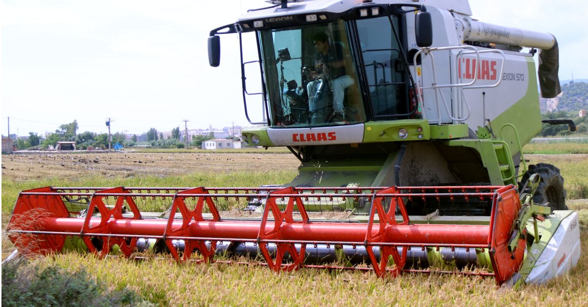 Les cooperatives catalanes constaten una reducci de ms del 10% en la producci d’arrs | EbreActiu.cat, revista digital d’oci actiu | Terres de l’Ebre ...