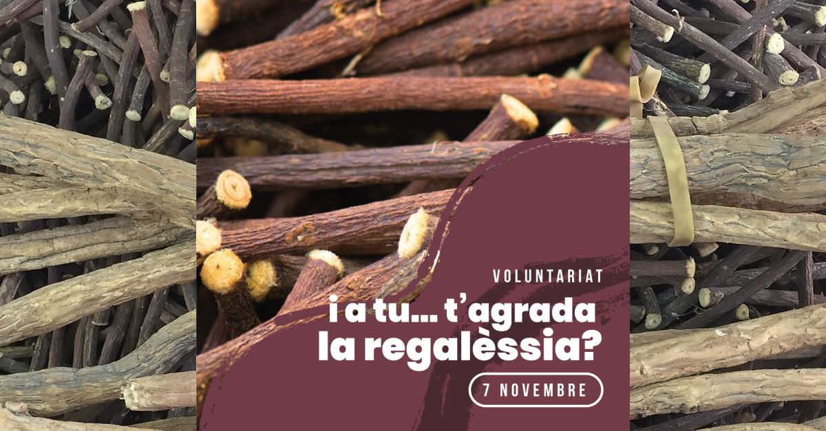 Activitat de voluntariat: T’agrada la regalssia?