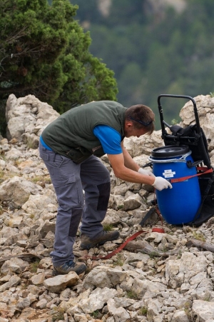 El Parc Natural dels Ports installa dos punts d’alimentaci suplementria per a trencalossos | EbreActiu.cat, revista digital d’oci actiu | Terres de l’Ebre ...