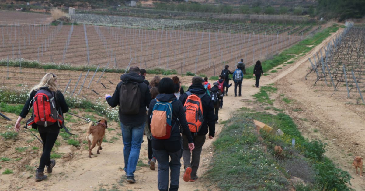 Rememoren la retirada del batall Lincoln-Washington entre Batea i Corbera d’Ebre amb una ruta a peu | EbreActiu.cat, revista digital d’oci actiu | Terres de l’Ebre ...