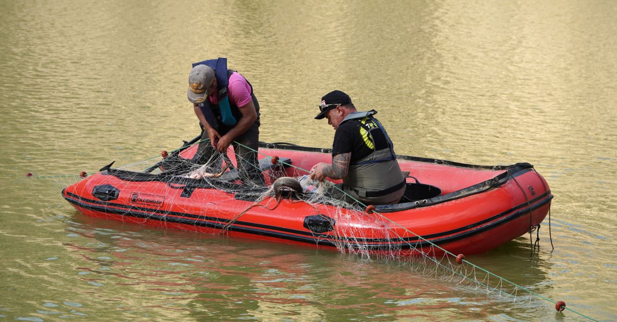 Buiden de peixos el pant d’Ulldecona per evitar una mortalitat massiva i garantir la qualitat de l’aigua | EbreActiu.cat, revista digital d’oci actiu | Terres de l’Ebre ...